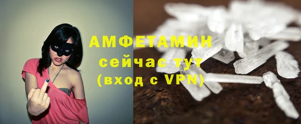 дживик Майский