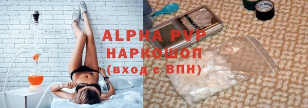ECSTASY Магас
