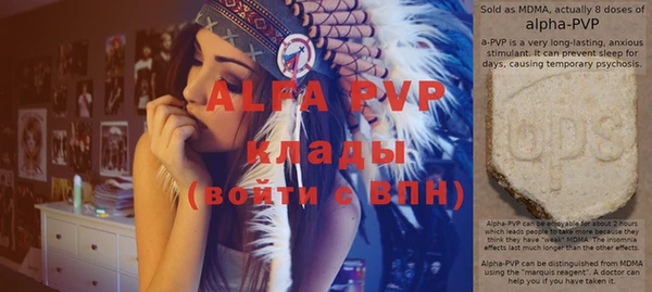 дживик Майский