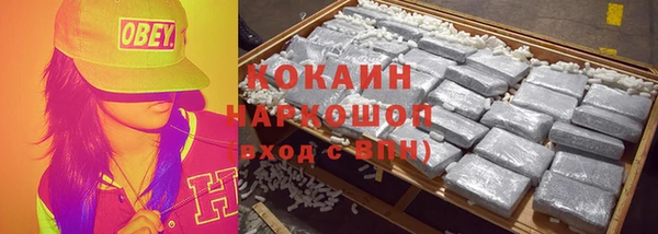 дживик Майский