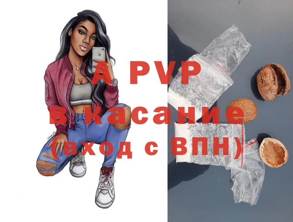 дживик Майский