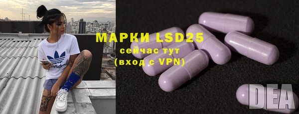 ECSTASY Магас