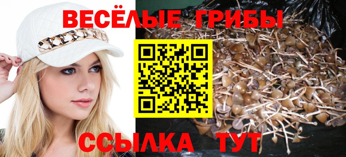 Псилоцибиновые грибы Psilocybine cubensis Можайск