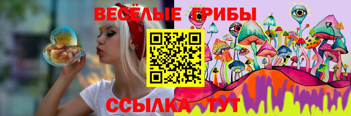 Можайск  Галлюциногенные грибы мицелий  Вход с VPN  Псилоцибиновые грибы Psilocybe 