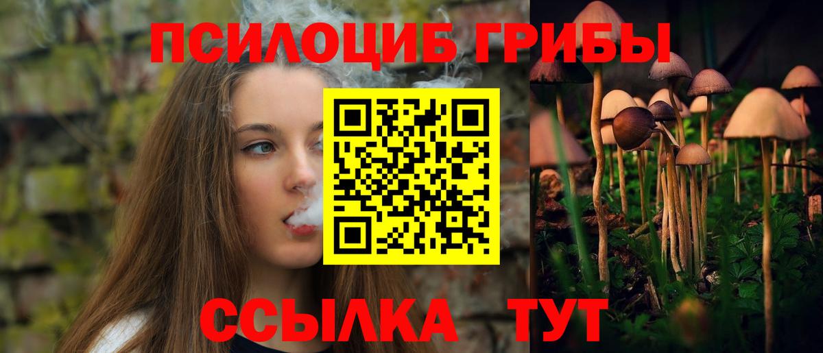 Галлюциногенные грибы Psilocybe  Можайск 